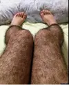 Скриншот 31-03-2026 144149.webp