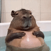 5e830d41-8c0b-458f-8966-7a206d4bb985.gif