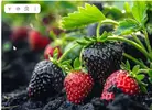 Скриншот 10-04-2026 093647.webp