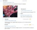 перч.webp