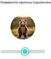 Screenshot 01.2026-3973.webp