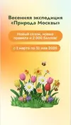 1776601542652.webp