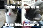 1776773893605.webp