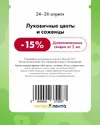 XwtAnYsf_vQAm_hMkP83FC97bGgm5n26bMKPWNY44zexiklitZ7bOxSpMQ2V9yrD3oKtD3_9FnHrgPdNbhgXTcqP.webp