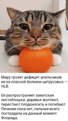 4694.webp