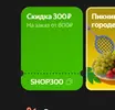 333.webp