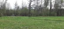 20260507_165427.webp