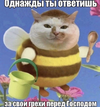 17776548516950093936.webp