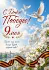 1000178030.webp