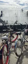 1778511498814.webp