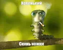 1780046665138.webp