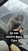 1000026170.gif