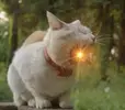 Скриншот-20260530-194457.webp