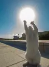Скриншот-20260530-194514.webp