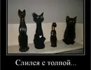 IMG_20260603_214954.webp