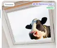 Скриншот-20260604-225858.webp