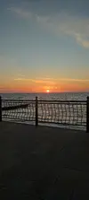 1780604916399(2).webp