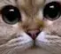 1781206417840.webp 1781206417840.webp