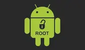 1781714623971.webp