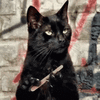 IMG_3084.gif