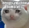 Без шансов.webp Без шансов.webp