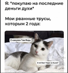 Screenshot_20260622_071405.webp