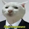 1782852383523.webp