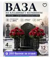 Скриншот-20260705-193313.webp