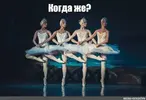 1783444523280.webp