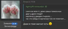 1783520483351.webp