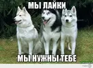 i (1).webp