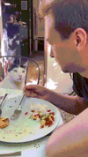 24AvhTfu_o.gif