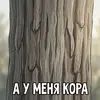 8a8810ba803511f187fbbe926d11112b_1.webp