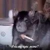 песочница-пост-из-чистилища-а-кому-сейчас-легко-4325332.webp
