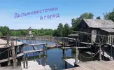 20260716_062412.webp