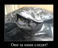 za-nami-slediat-1.webp