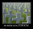 1784411723922.webp
