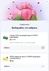 7.webp