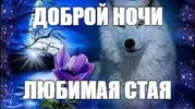 159f8eb10bce9409aec88fc79e2a0dbb.webp