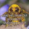 4_P7pBkpJrl2JwY5_JAq90Q-oR66RidQ1D7YMs3Kr95OdAOxgwsnDGbD29r-V3_tWvFAY1WEueMUoZIDgUbsp0Gf.webp 4_P7pBkpJrl2JwY5_JAq90Q-oR66RidQ1D7YMs3Kr95OdAOxgwsnDGbD29r-V3_tWvFAY1WEueMUoZIDgUbsp0Gf.webp