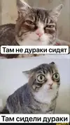 1784899950197.webp
