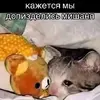 1784974412527.webp