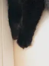 IMG_20260725_153836.webp