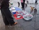 1000088325.webp