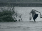 IMG_9988.gif