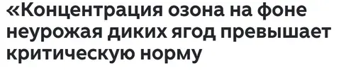 1785589956551.webp