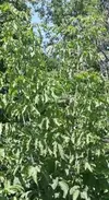 20260802_133850.webp