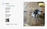 Скриншот-20260806-151715.webp Скриншот-20260806-151715.webp