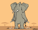 elephant-work-it.gif
