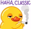 1787167915095.webp